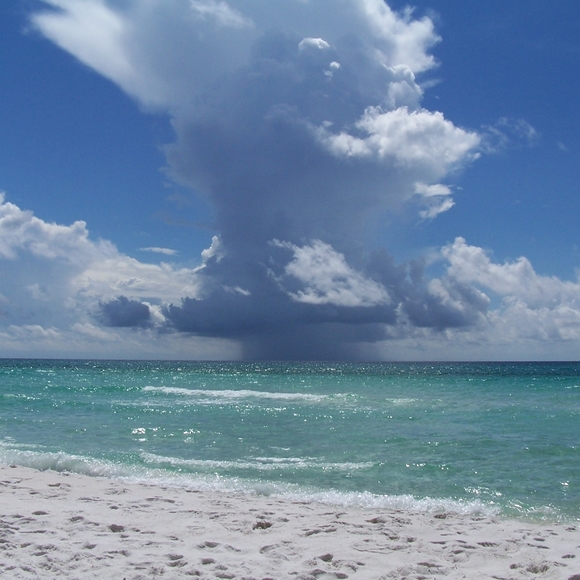 Meet your Posher, Elaine - Picture 2 of 8